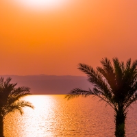 Jordan Highlights: Gerasa, the Dead Sea, and the Map of Madaba